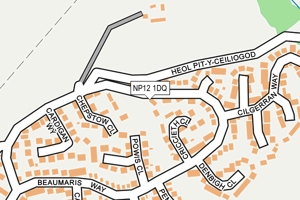 NP12 1DQ map - OS OpenMap – Local (Ordnance Survey)