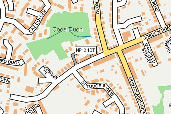 NP12 1DT map - OS OpenMap – Local (Ordnance Survey)