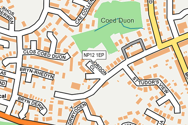 NP12 1EP map - OS OpenMap – Local (Ordnance Survey)