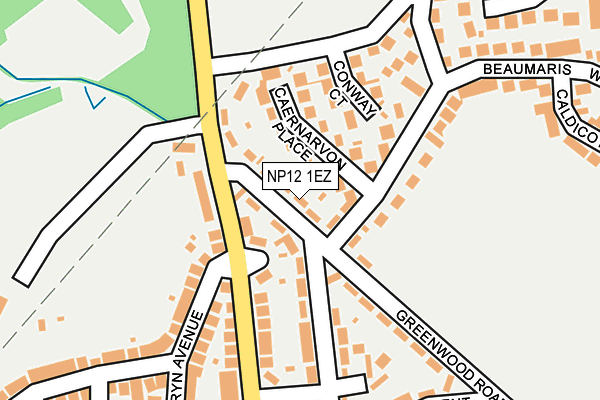 NP12 1EZ map - OS OpenMap – Local (Ordnance Survey)