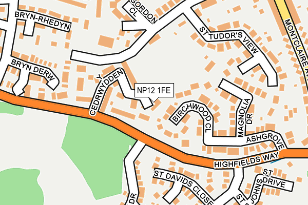 NP12 1FE map - OS OpenMap – Local (Ordnance Survey)