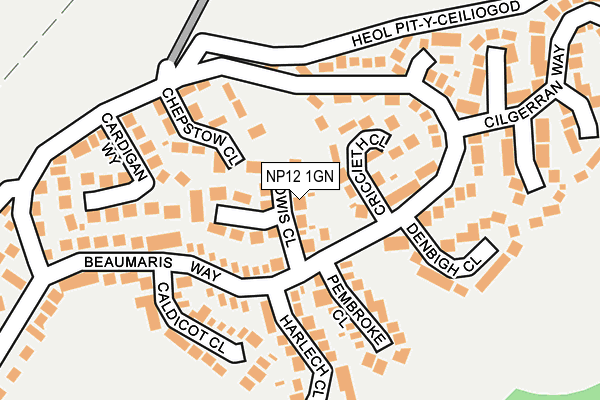 NP12 1GN map - OS OpenMap – Local (Ordnance Survey)