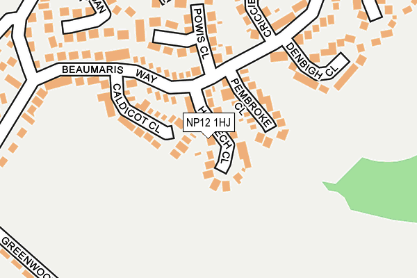 NP12 1HJ map - OS OpenMap – Local (Ordnance Survey)