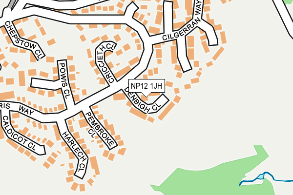 NP12 1JH map - OS OpenMap – Local (Ordnance Survey)