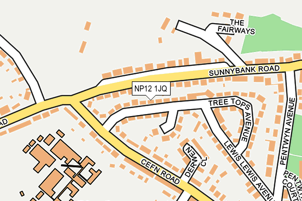 NP12 1JQ map - OS OpenMap – Local (Ordnance Survey)