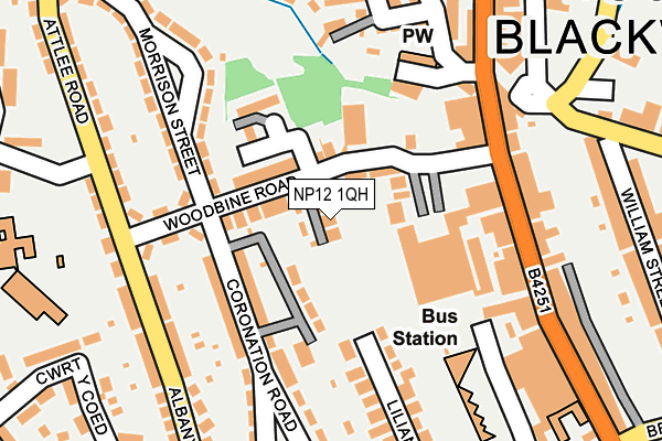 NP12 1QH map - OS OpenMap – Local (Ordnance Survey)