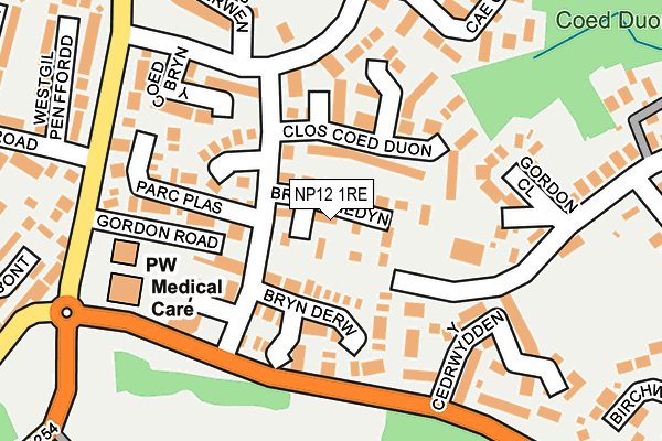 NP12 1RE map - OS OpenMap – Local (Ordnance Survey)