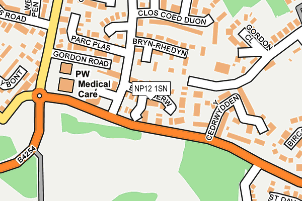 NP12 1SN map - OS OpenMap – Local (Ordnance Survey)