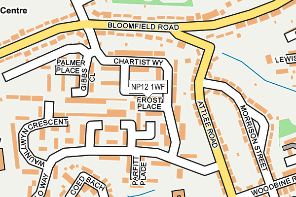 NP12 1WF map - OS OpenMap – Local (Ordnance Survey)