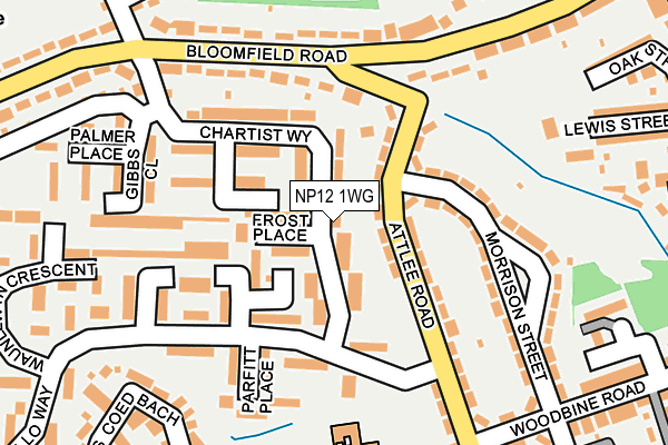 NP12 1WG map - OS OpenMap – Local (Ordnance Survey)