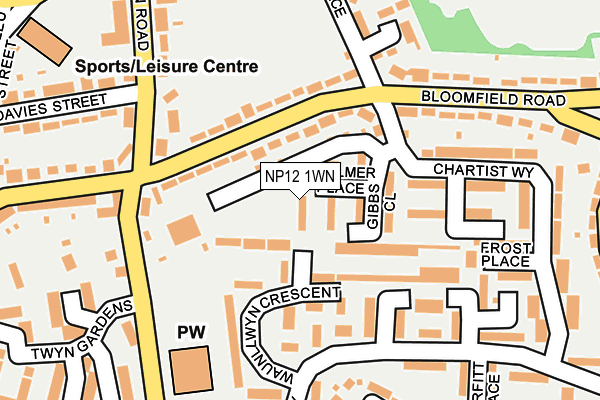 NP12 1WN map - OS OpenMap – Local (Ordnance Survey)