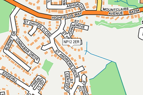 NP12 2ER map - OS OpenMap – Local (Ordnance Survey)