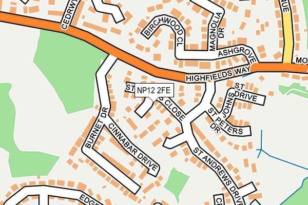 NP12 2FE map - OS OpenMap – Local (Ordnance Survey)