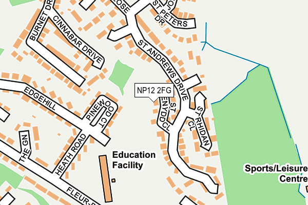 NP12 2FG map - OS OpenMap – Local (Ordnance Survey)