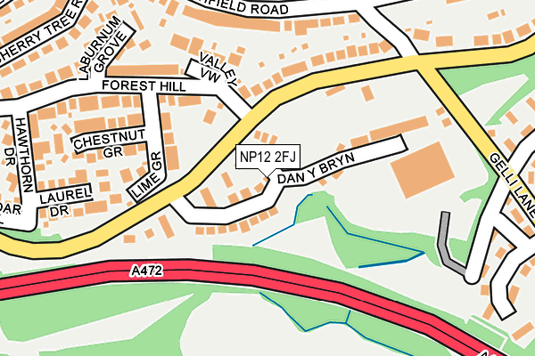 NP12 2FJ map - OS OpenMap – Local (Ordnance Survey)