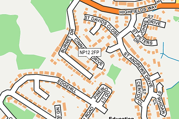 NP12 2FP map - OS OpenMap – Local (Ordnance Survey)