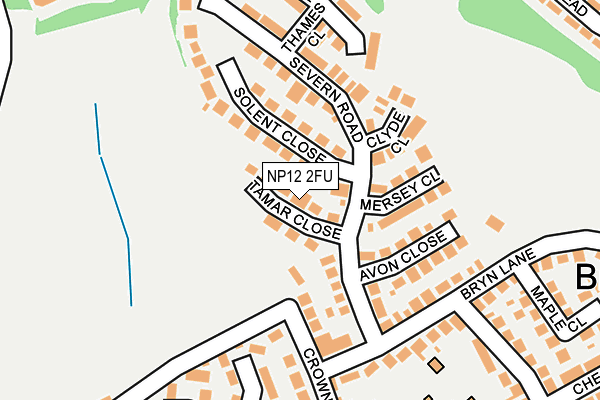 NP12 2FU map - OS OpenMap – Local (Ordnance Survey)