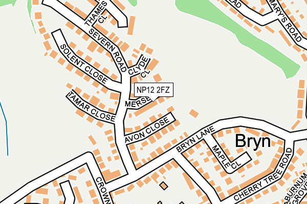 NP12 2FZ map - OS OpenMap – Local (Ordnance Survey)