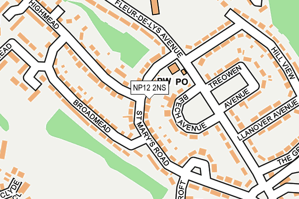 NP12 2NS map - OS OpenMap – Local (Ordnance Survey)