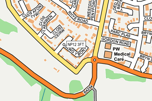 NP12 3FT map - OS OpenMap – Local (Ordnance Survey)