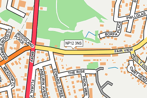 NP12 3NS map - OS OpenMap – Local (Ordnance Survey)