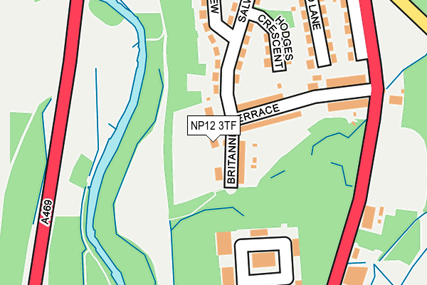 NP12 3TF map - OS OpenMap – Local (Ordnance Survey)