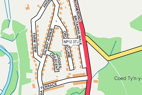 NP12 3TJ map - OS OpenMap – Local (Ordnance Survey)