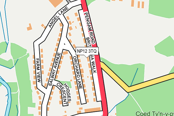 NP12 3TQ map - OS OpenMap – Local (Ordnance Survey)