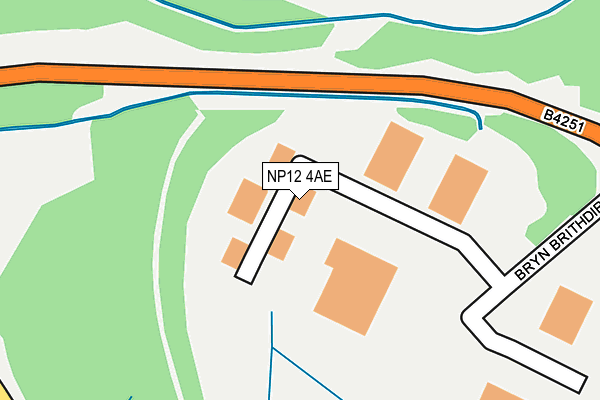NP12 4AE map - OS OpenMap – Local (Ordnance Survey)