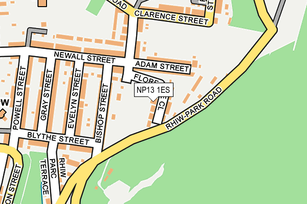 NP13 1ES map - OS OpenMap – Local (Ordnance Survey)