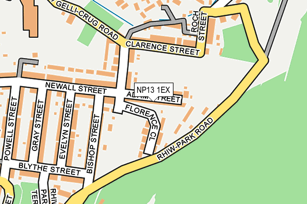 NP13 1EX map - OS OpenMap – Local (Ordnance Survey)