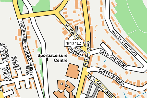NP13 1EZ map - OS OpenMap – Local (Ordnance Survey)