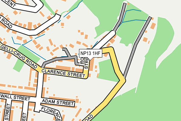 NP13 1HF map - OS OpenMap – Local (Ordnance Survey)