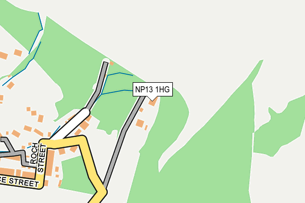 NP13 1HG map - OS OpenMap – Local (Ordnance Survey)