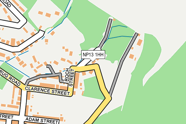 NP13 1HH map - OS OpenMap – Local (Ordnance Survey)