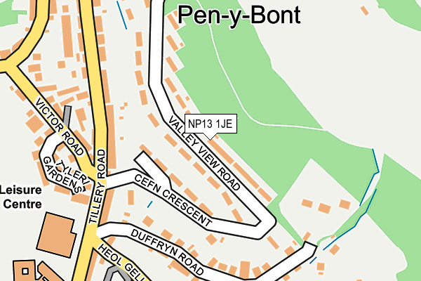 NP13 1JE map - OS OpenMap – Local (Ordnance Survey)