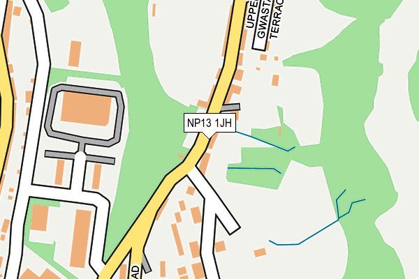 NP13 1JH map - OS OpenMap – Local (Ordnance Survey)
