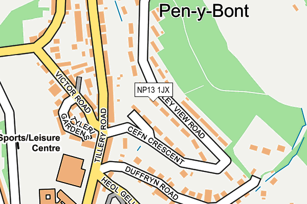 NP13 1JX map - OS OpenMap – Local (Ordnance Survey)