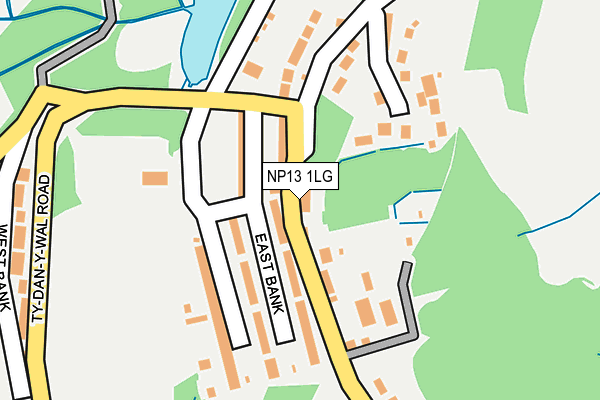 NP13 1LG map - OS OpenMap – Local (Ordnance Survey)