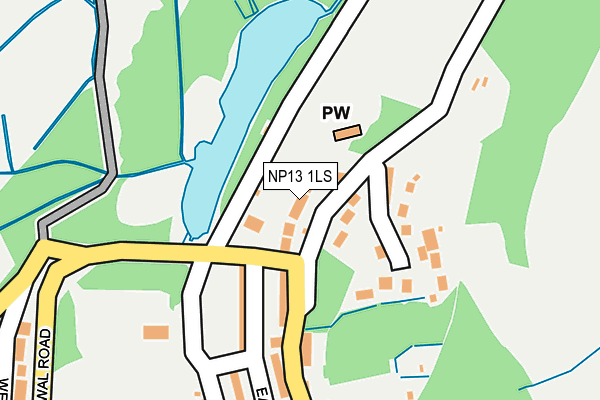 NP13 1LS map - OS OpenMap – Local (Ordnance Survey)