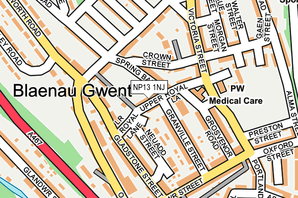 NP13 1NJ map - OS OpenMap – Local (Ordnance Survey)