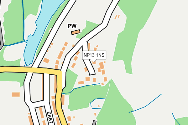NP13 1NS map - OS OpenMap – Local (Ordnance Survey)