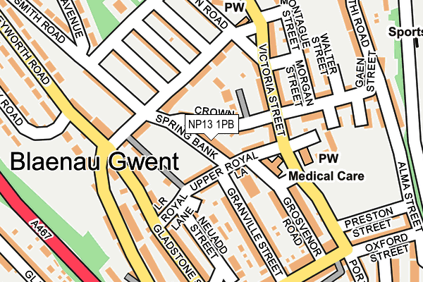 NP13 1PB map - OS OpenMap – Local (Ordnance Survey)