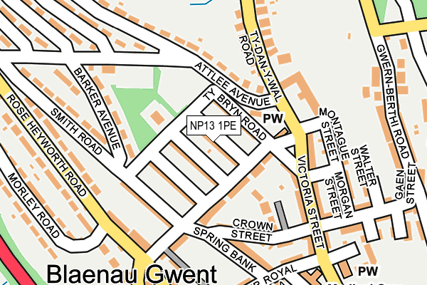 NP13 1PE map - OS OpenMap – Local (Ordnance Survey)