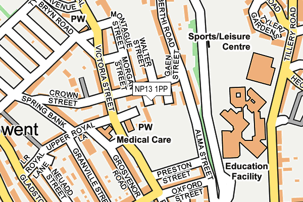 NP13 1PP map - OS OpenMap – Local (Ordnance Survey)