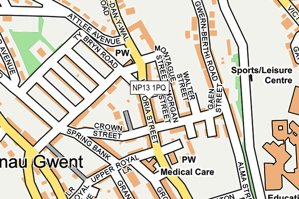 NP13 1PQ map - OS OpenMap – Local (Ordnance Survey)
