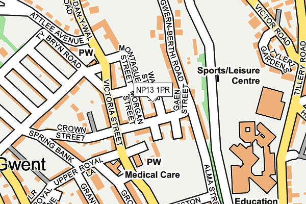 NP13 1PR map - OS OpenMap – Local (Ordnance Survey)
