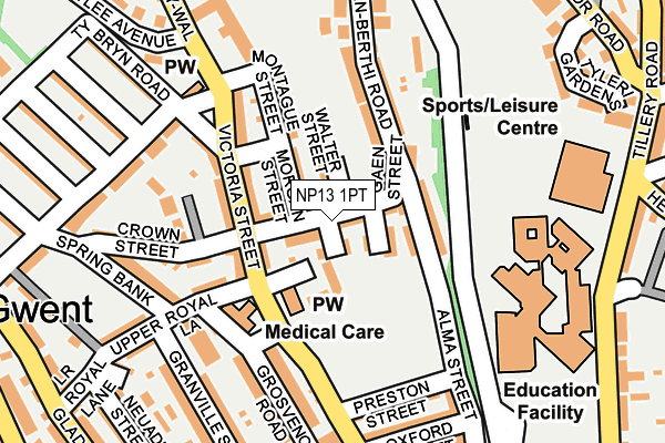 NP13 1PT map - OS OpenMap – Local (Ordnance Survey)