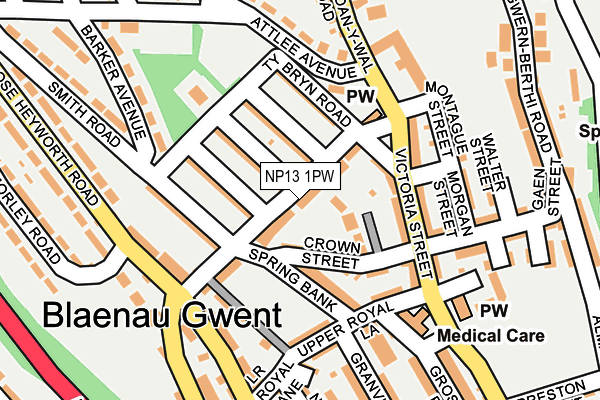 NP13 1PW map - OS OpenMap – Local (Ordnance Survey)