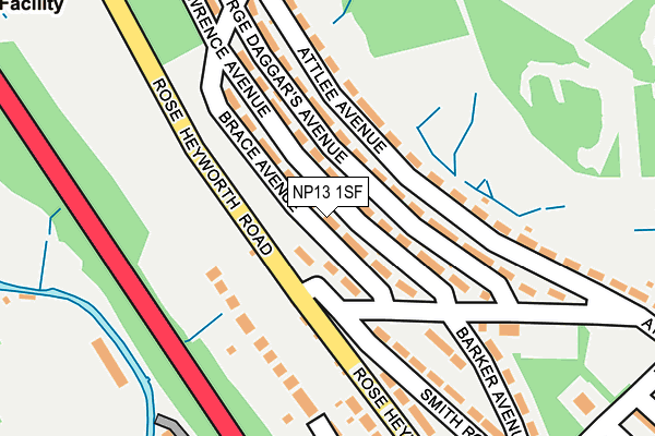 NP13 1SF map - OS OpenMap – Local (Ordnance Survey)